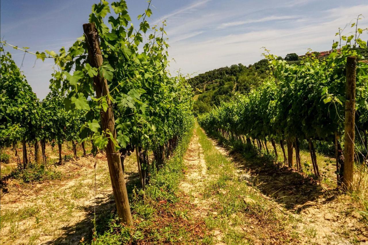 Tenuta Sant'Ilario Gambassi Terme Εξωτερικό φωτογραφία